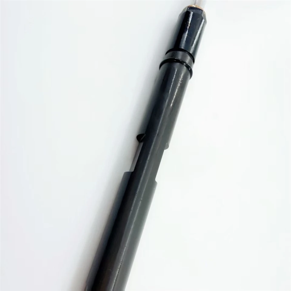 Real Factory Fuel Injector 320/06834 Injectors Manufacturer For JCB B05502A OEM Quality high quality